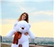 Foto в Для детей Детские игрушки Большой плюшевый мишка станет самым желанным в Санкт-Петербурге 3 190