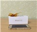 Фотография в Телефония и связь Мобильные телефоны Apple iPhone 5s память 16 Gb золотой. Оригинальный, в Новосибирске 25 000