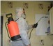 Изображение в Прочее,  разное Разное Полное уничтожение и вывод насекомых и грызунов.Мы в Москве 1 000