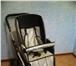 Фото в Для детей Детские коляски Продам отличную фирменную коляску 2в1 Bebetto в Омске 6 999