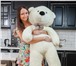 Фото в Для детей Детские игрушки Распродажа больших плюшевых медведей! Акция:- в Санкт-Петербурге 1 990