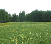 Foto в Недвижимость Земельные участки Продам два земельных участка общей площадью в Красноярске 1 200 000