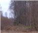 Изображение в Работа Вакансии Работа вахтовым методом, вырубка леса вокруг в Москве 50 000