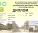 Подрощенная девочка немецкой овчарки 1754802 Немецкая овчарка фото в Волгограде