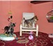 Фотография в Домашние животные Услуги для животных Зоо-санаторий — это:1. Передержка в Москве в Москве 800