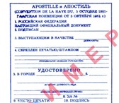 Фотография в Прочее,  разное Разное Если Вам необходимы услуги апостилирования в Краснодаре 1