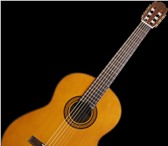 Foto в Образование Курсы, тренинги, семинары Научим вас играть или вернем деньги. 100% в Уфе 300