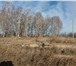Фотография в Недвижимость Земельные участки Земельный участок в экологически чистом Сосновском в Челябинске 350 000
