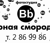 Изображение в Прочее,  разное Разное «Черная Смородина» - это профессиональная в Красноярске 1 500