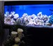 Фотография в Домашние животные Рыбки аквариум 180 литров с биофильтром.со всем в Красноярске 40 000