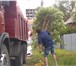 Фото в Авторынок Транспорт, грузоперевозки Вывезти образовавшийся после демонтажа мусор в Смоленске 0