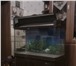 Изображение в Домашние животные Товары для животных Продам аквариум б/у 1.5 года. Производство в Москве 8 000