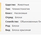 Фото в Прочее,  разное Разное Наша деятельность связана не только с уничтожением в Ханты-Мансийск 500