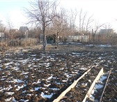 Foto в Недвижимость Сады Продам плодоносящий сад в черте города.Дом в Челябинске 270 000