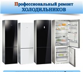 Фото в Электроника и техника Ремонт и обслуживание техники Качественный ремонт холодильника, морозильной в Новороссийске 500