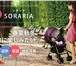Изображение в Для детей Детские коляски наш японский интернет-магазин aprica-japan в Москве 36 700