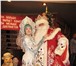 Изображение в Развлечения и досуг Организация праздников Вы хотите, чтобы Дед Мороз со Снегурочкой в Краснодаре 2 000