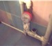 Фотография в Строительство и ремонт Сантехника (услуги) монтаж и замена  систем водопровода, канализации,отопления в Оренбурге 1
