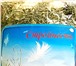 Фотография в Красота и здоровье Товары для здоровья Вкуснейшие чаи из трав и корней Горного-Алтая в Москве 200