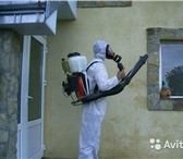 Foto в Прочее,  разное Разное Выведим начисто насекомых и грызунов с гарантией в Нижнем Новгороде 0