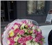 Foto в Домашние животные Растения Заказ и доставка цветов!Цветы в розницу по в Москве 10