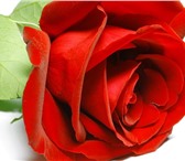 Фото в Работа Вакансии Продвижение товаров повседневного спроса в Волгограде 23 000