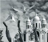 Фотография в Домашние животные Птички Белые голуби на любые праздники,пара 1000р,желательно в Казани 1 000