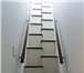 Фото в Строительство и ремонт Другие строительные услуги Изготовим любую лестницу в г.Щёкино и районе.Индивидуальный в Щекино 22 000