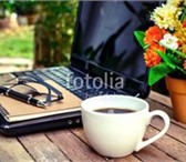 Foto в Работа Резюме Ищу достойных сотрудников для введения информационной в Москве 30 000