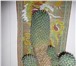 Foto в Хобби и увлечения Разное Кактусы в горшках высотой 30 см. По 150 рублей в Санкт-Петербурге 150