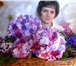 Изображение в Домашние животные Растения Продам неукоренённые  черенки  сортовых фиалок в Прокопьевске 25