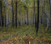 Foto в Недвижимость Земельные участки Предлагаются земельные участки в населенном в Екатеринбурге 250 000