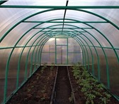 Фото в Строительство и ремонт Строительные материалы Теплица из поликарбоната "Надежная" от производителя.СКИДКИ в Казани 10 990