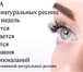 Изображение в Образование Разное Приглашаем на обучение полуперманентная тушь в Красноярске 3 000