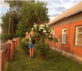 Фотография в Недвижимость Продажа домов 1-этажный дом 55 м² на участке 5.5 сот., в Красноярске 3 500 000