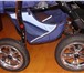 Foto в Для детей Детские коляски Продается коляска-трансформер Expander Vento в Ярославле 5 500