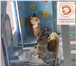 Фото в Для детей Детские игрушки Кукольный домик торговой марки "БЕЛЬЧИК" в Москве 6 500