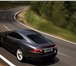 Jaguar XK - Породистый хищник,  в отличной форме! 2445104 Jaguar XK 8 фото в Москве