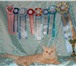 Изображение в Домашние животные Вязка Британский кот кремового окраса приглашает в Сочи 3 000