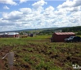 Фото в Недвижимость Земельные участки Продам земельный участок, площадью 12,3 соток. в Перми 550 000