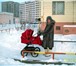 Foto в Для детей Детские коляски Продам коляску фирмы  МИКРУС(ПОЛЬША)люлька в Твери 7 000