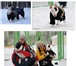 Foto в Домашние животные Одежда для собак Удобная, практичная, проверенная на практике, в Нижневартовске 300