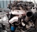 Фото в Авторынок Автозапчасти Продам контрактный дизельный двигатель D4CB в Омске 145 000