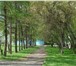 Фотография в Недвижимость Квартиры Собственник! 
Продам 4 комнатную 80кв м,. в Красноярске 3 650 000