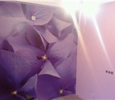 Фотография в Строительство и ремонт Ремонт, отделка Качественно и недорого сделаем ремонт вашего в Красноярске 0