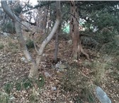 Фотография в Недвижимость Земельные участки •Продам участок 6 соток в Ялте пгт. Гаспра в Москве 11 850 000