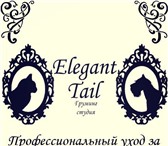 Фотография в Домашние животные Услуги для животных Груминг-студия "Elegant tail" предоставляет в Твери 1 000