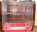 Изображение в Домашние животные Товары для животных продам клетку для птиц в отличном состоянии.очень в Уфе 0