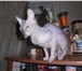 Продаются два котенка 4408617 Канадский сфинкс фото в Омске