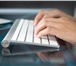 Фото в Работа Вакансии Требуются удаленные сотрудники в международную в Тюмени 26 000